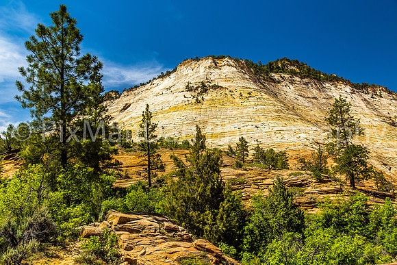 Zion NP 1