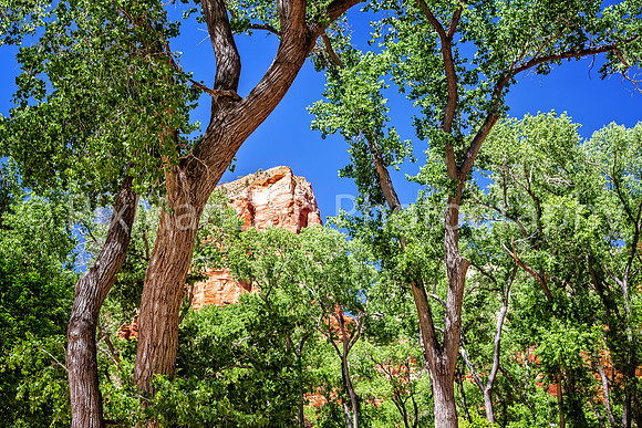 Zion NP 10