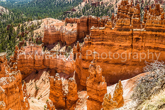Bryce Canyon NP 18