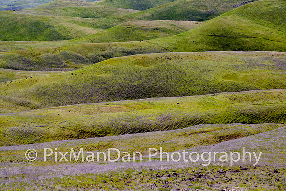 Palouse Scenics 23