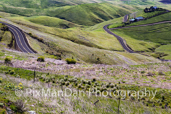 Palouse Scenics 21