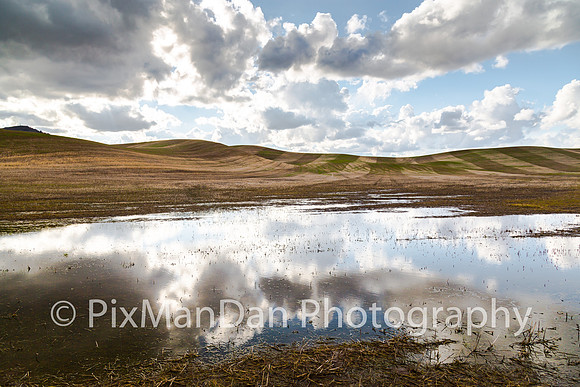 Palouse Scenics 24