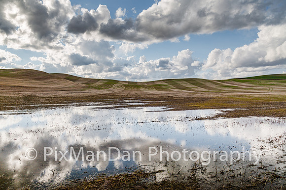 Palouse Scenics 25
