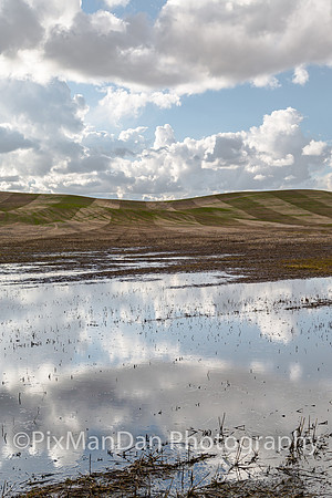 Palouse Scenics 26
