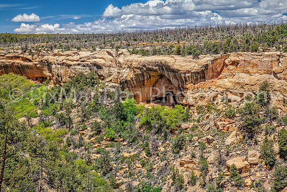 Anasazi Cliff Dwellings