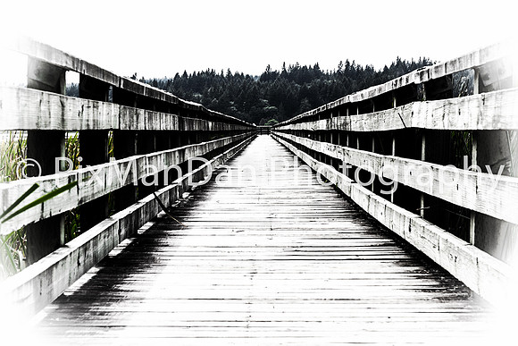 Theler Wetlands Pier