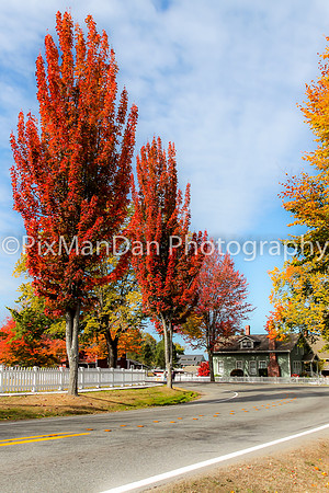 Autumn In Port Gamble 2