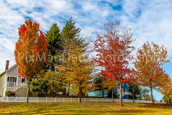 Autumn In Port Gamble 1
