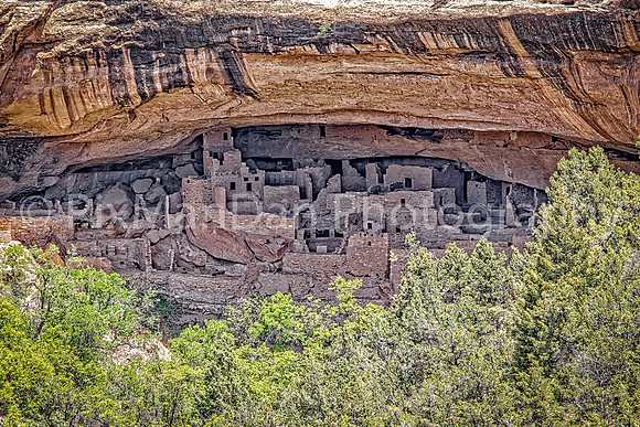 Cliff Palace 8