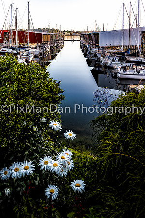 Port Orchard Marina 1
