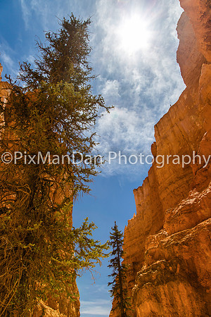 Bryce Canyon NP 23
