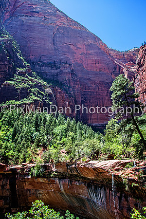 Zion NP 9