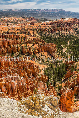 Bryce Canyon NP 16