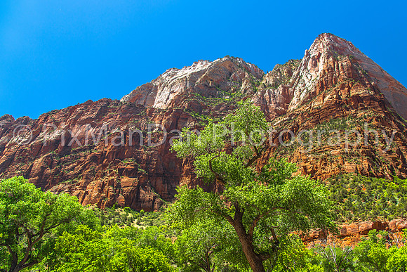Zion NP 4