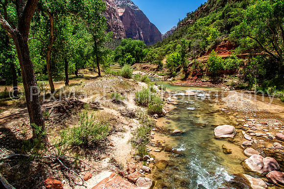 Zion NP 7