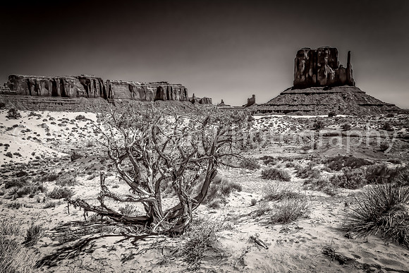 Monument Valley 3
