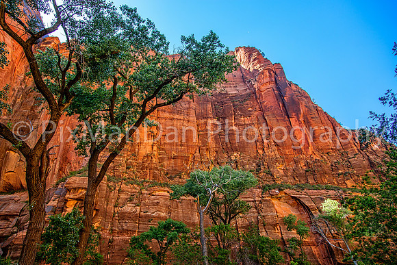 Zion NP 11
