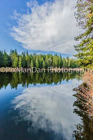 Rogue Reflections 5