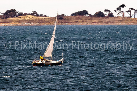 Point Wilson Sailboat