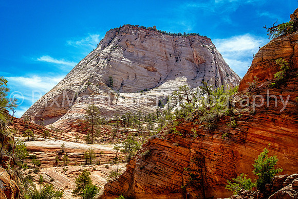 Zion NP 6