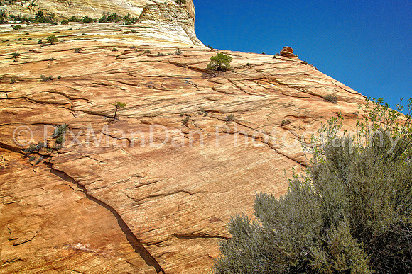 Zion NP 5