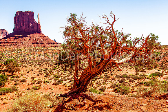 Monument Valley 4