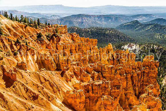 Bryce Canyon NP 13